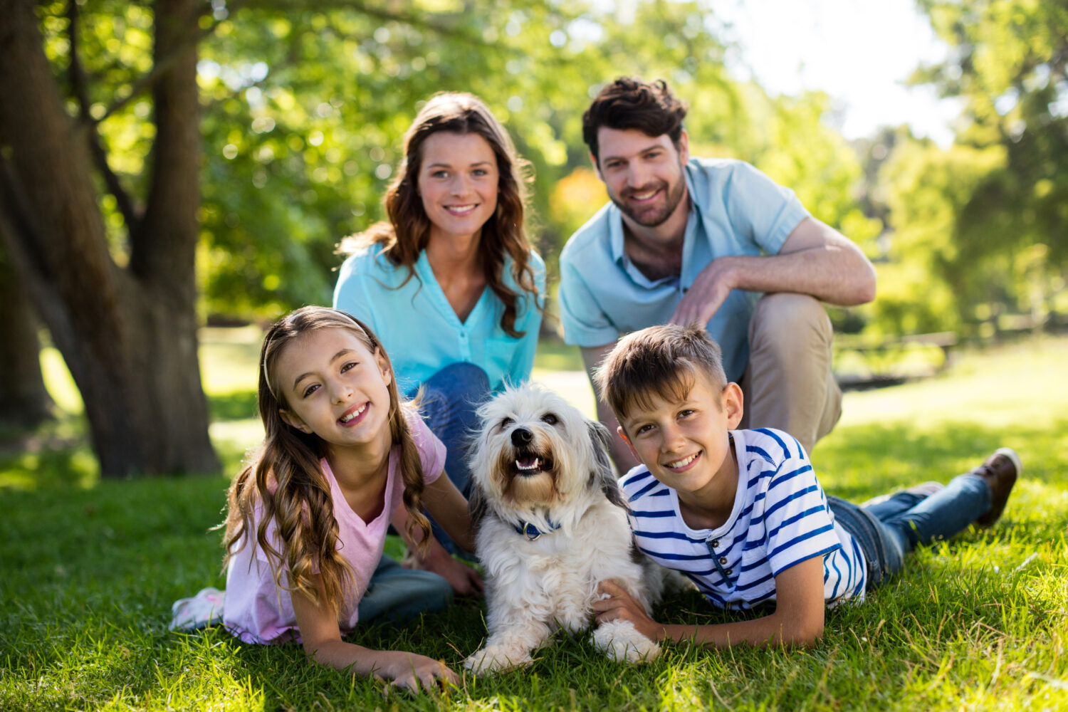 Portrait of happy family enjoying in park on sunny a day Portrait of happy family enjoying in park on sunny a day