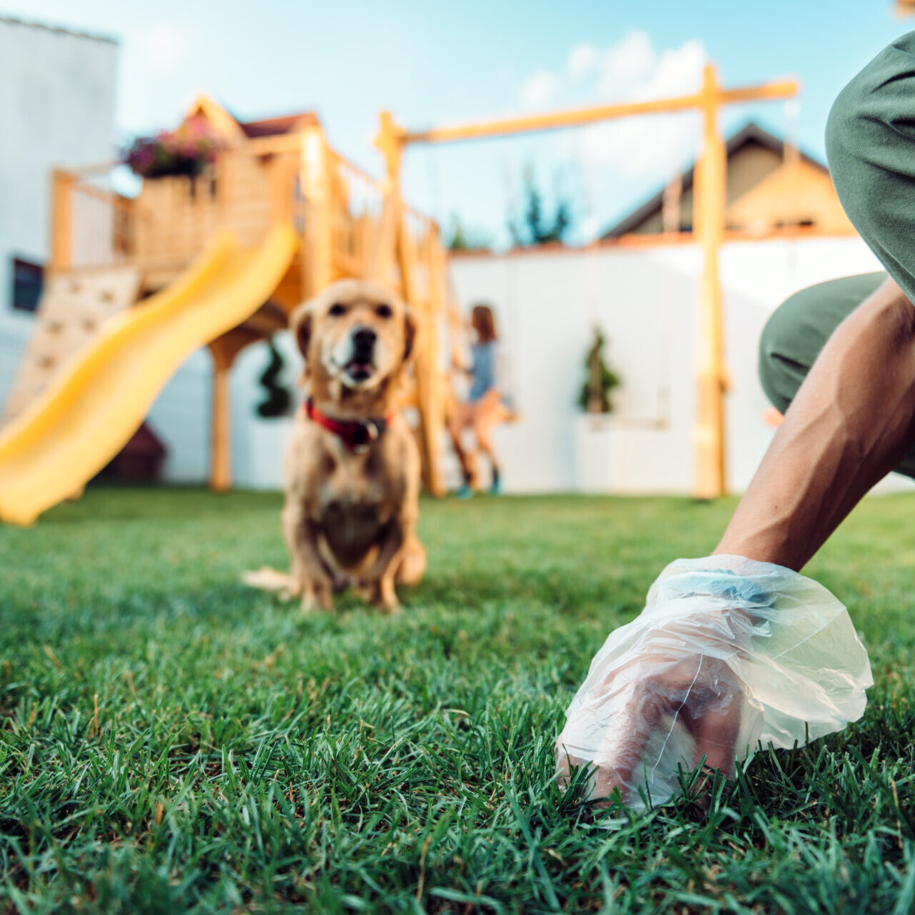 ScooPup Dog Waste Removal ScooPup Dog Waste Removal